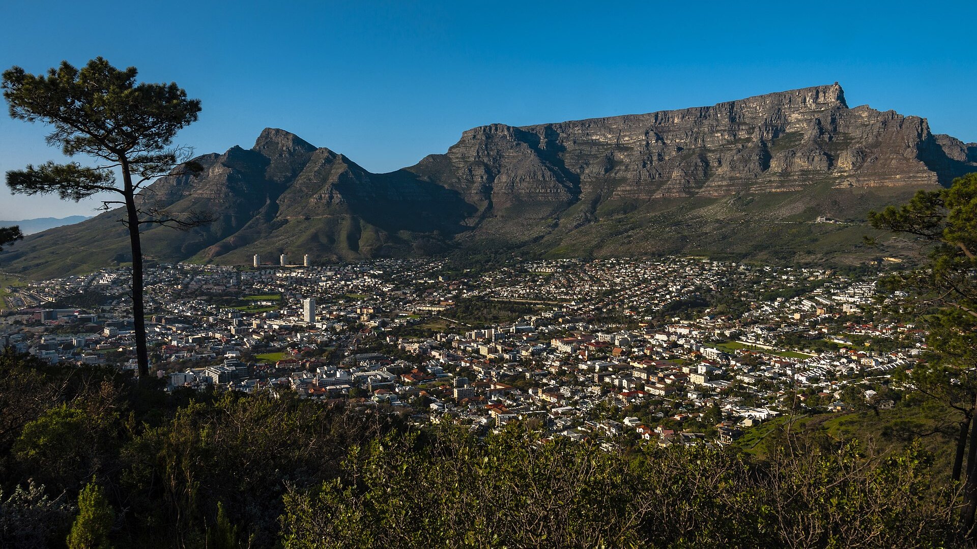 The Perfect Cape Town Itinerary: 3 to 5 Days
