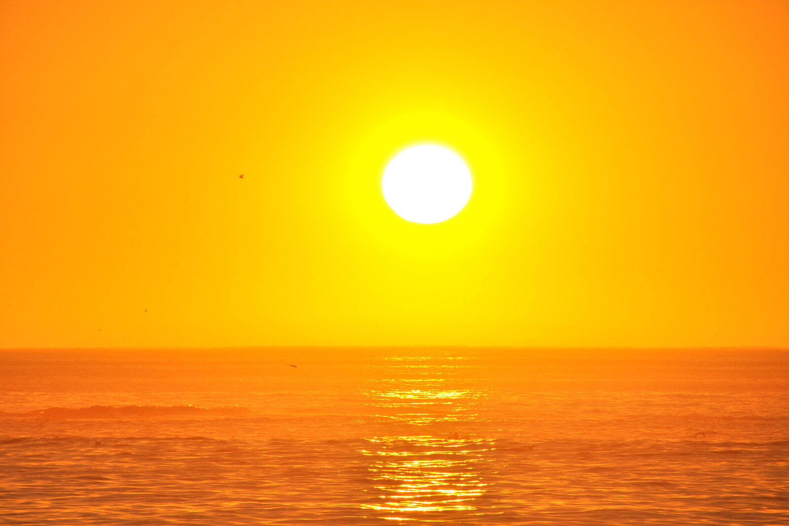 Sunset over Camps Bay beach with palm trees and Twelve Apostles mountains