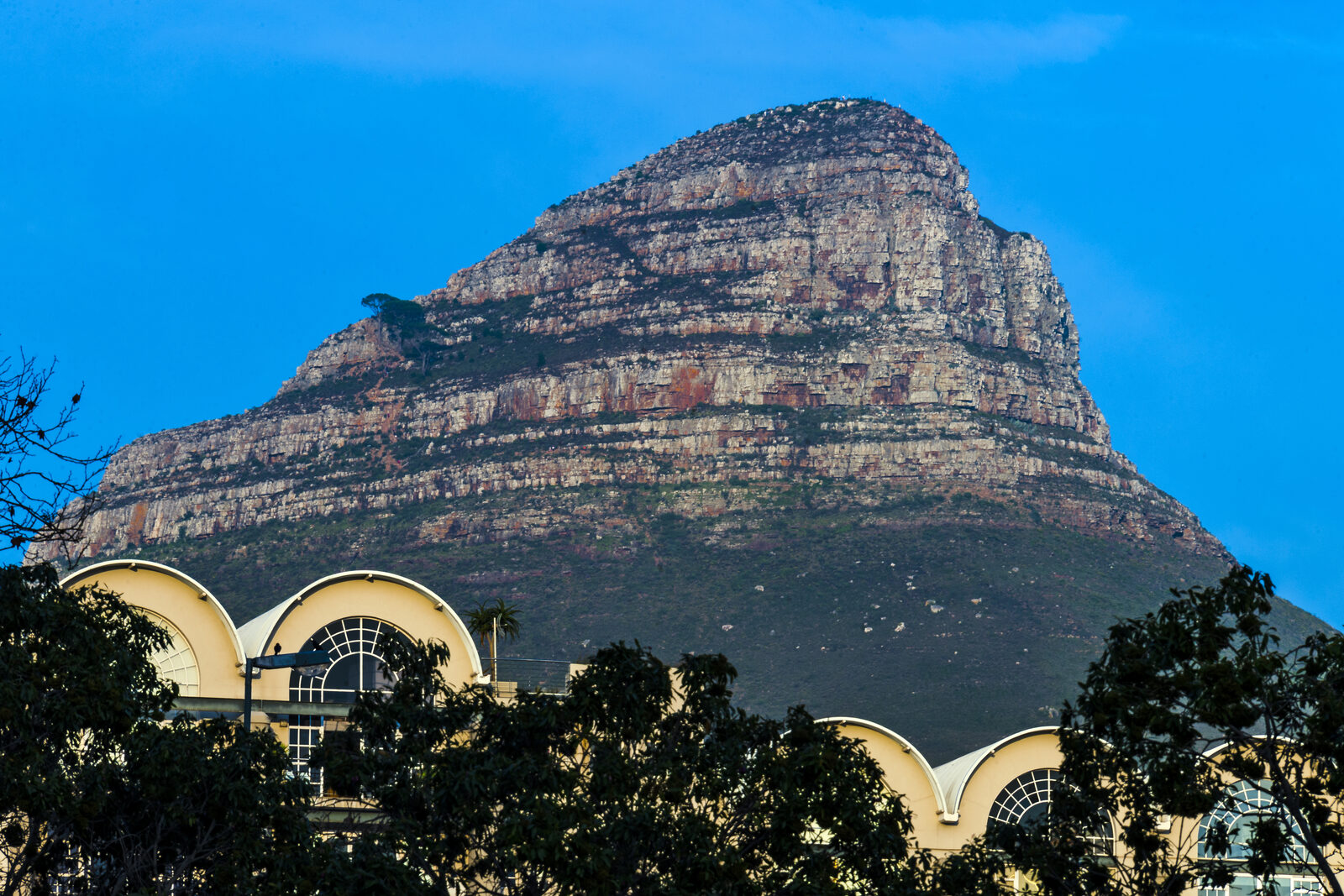 Cape Town city bowl panorama in early morning light