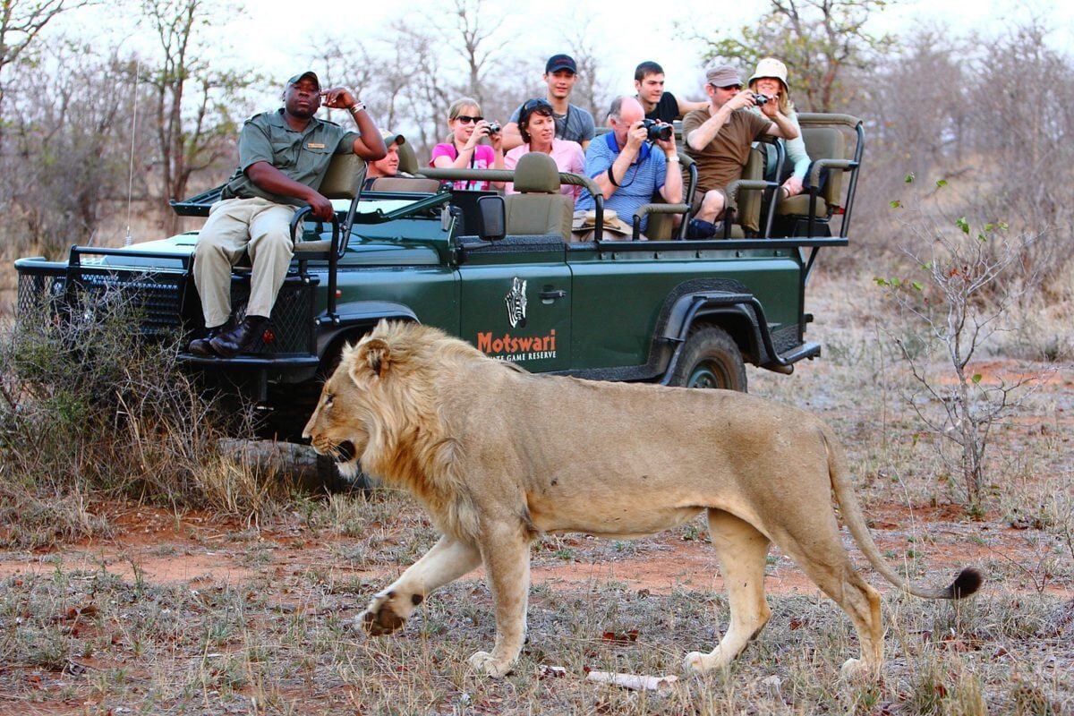 South Africa Family Safari Guide: Everything You Need to Know