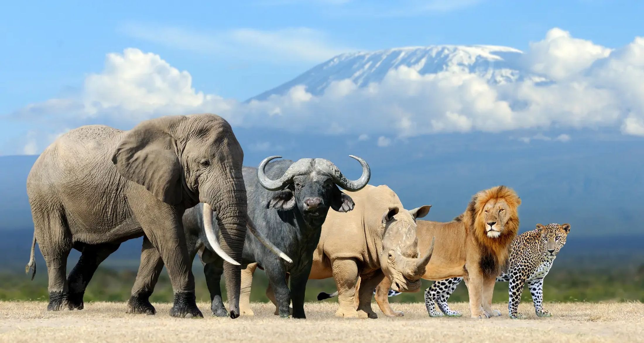 Private Full Day Kruger Safari — Exclusive Vehicle