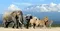 Private Full Day Kruger Safari — Exclusive Vehicle
