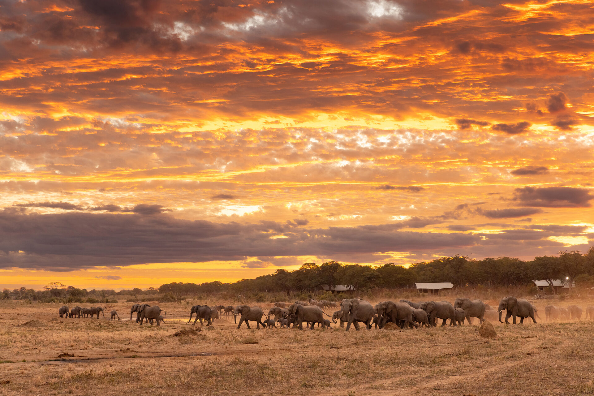 Hwange National Park, Zimbabwe — one of Africa's best safari parks