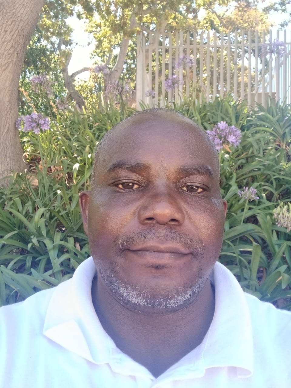 Ejide — Professional Tour Guide at Gray Line South Africa