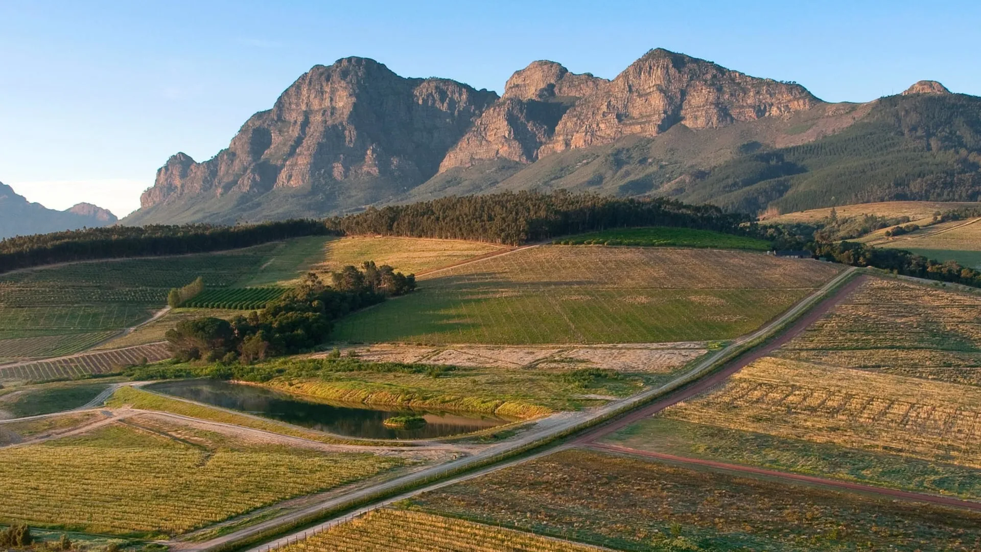 Cape Winelands Luxury Wine Tour — Tastings, Lunch & Cheese Pairing