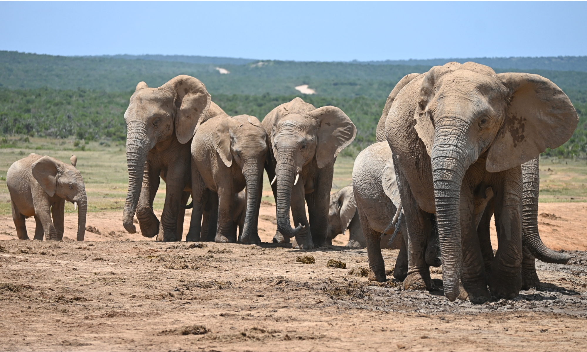 5-Day Garden Route Shared Tour
