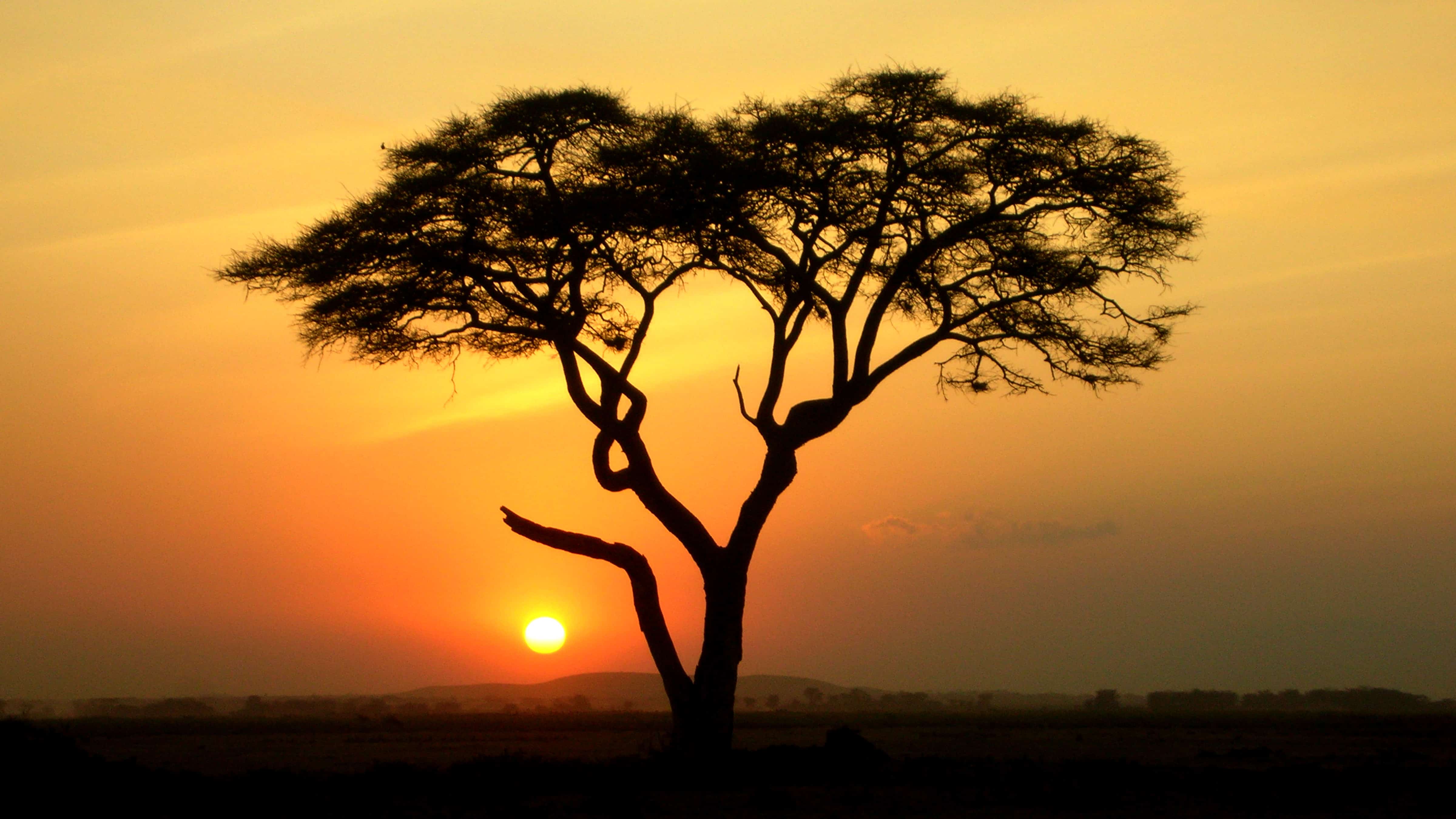 Aquila Sunset Safari
