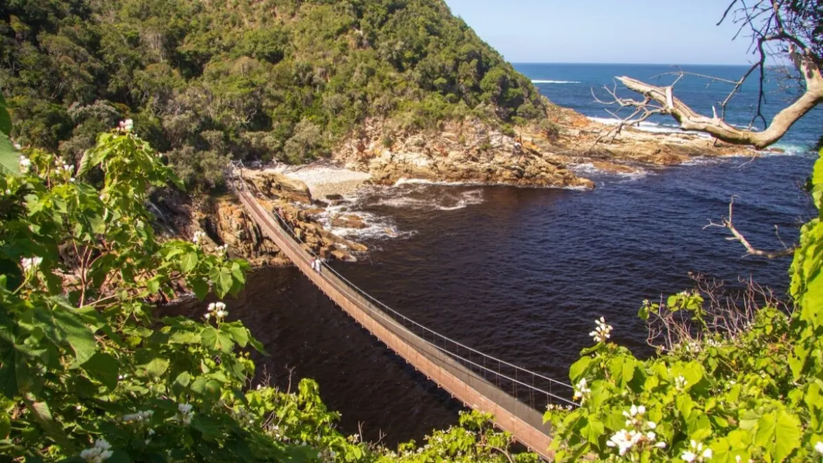 Bloukrans Bungee & Storms River Adventure