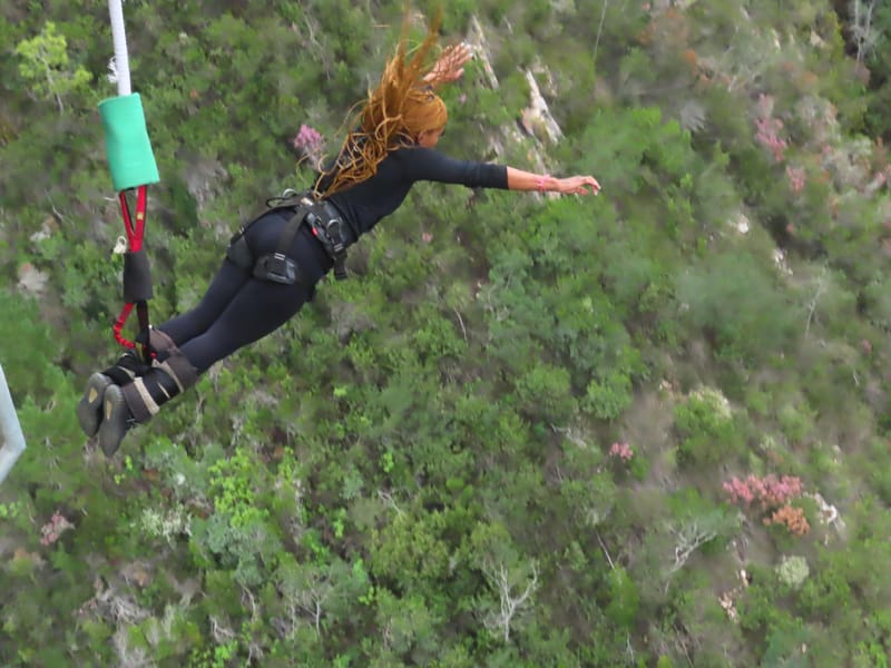 2-Day Garden Route Adventure — Bungee, Zipline & Shark Diving