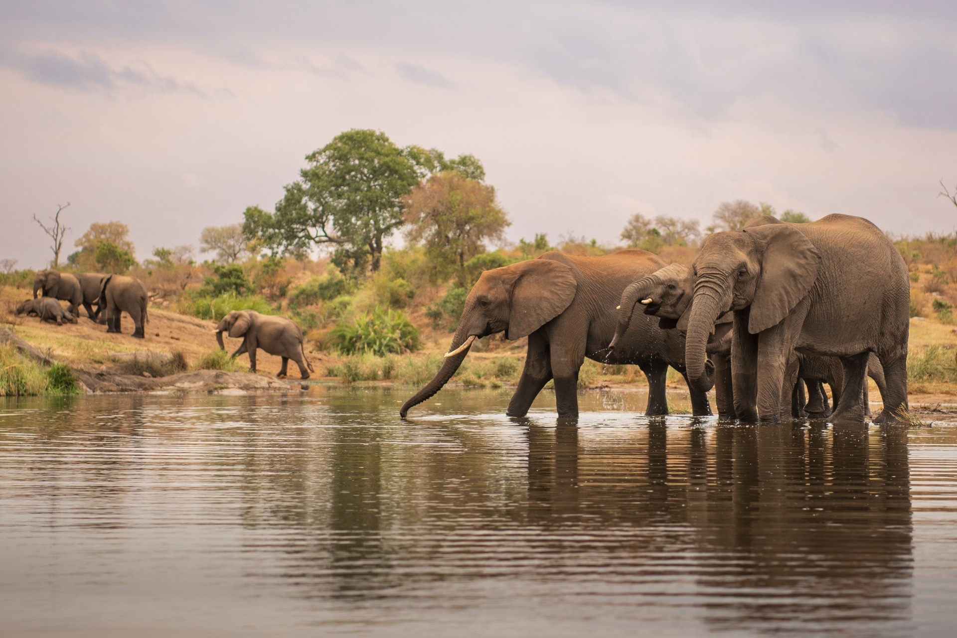 2-Day Kruger Overland Big 5 Safari from Johannesburg
