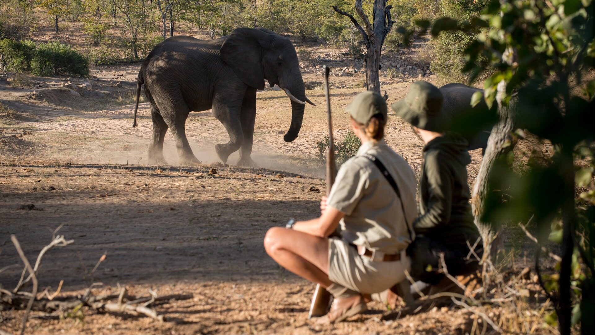 Kruger Walking Safari — 3-Hour Guided Bush Walk
