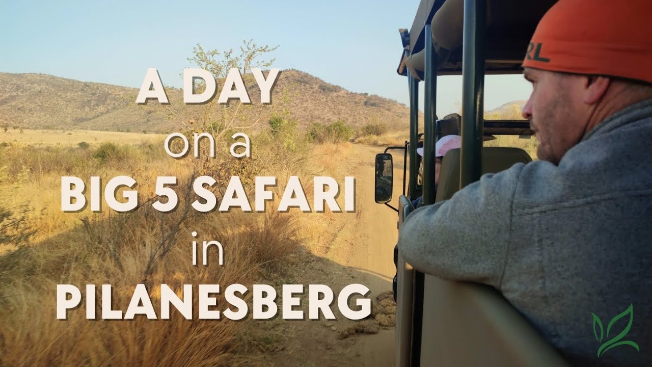 Lion & Safari Park Half-Day Experience