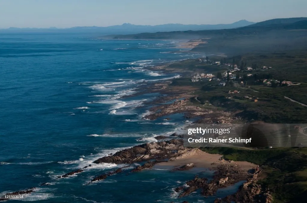 Algoa Bay Whale & Dolphin Ocean Safari