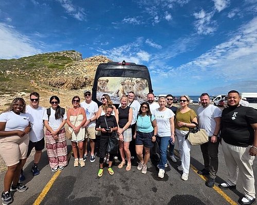 Kirstenbosch Gardens, Bo-Kaap & Penguins Tour