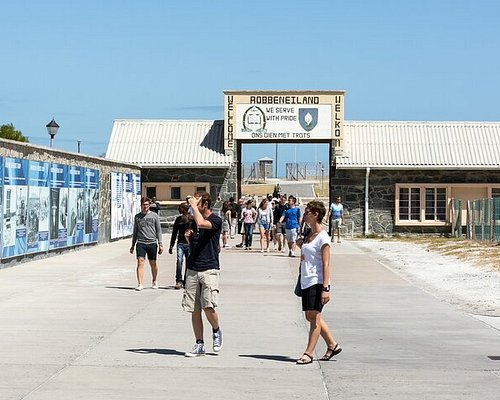 Robben Island & Table Mountain Combo Tour