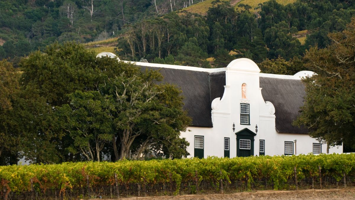 Zipline, Wine Tasting & Table Mountain Tour photo 3