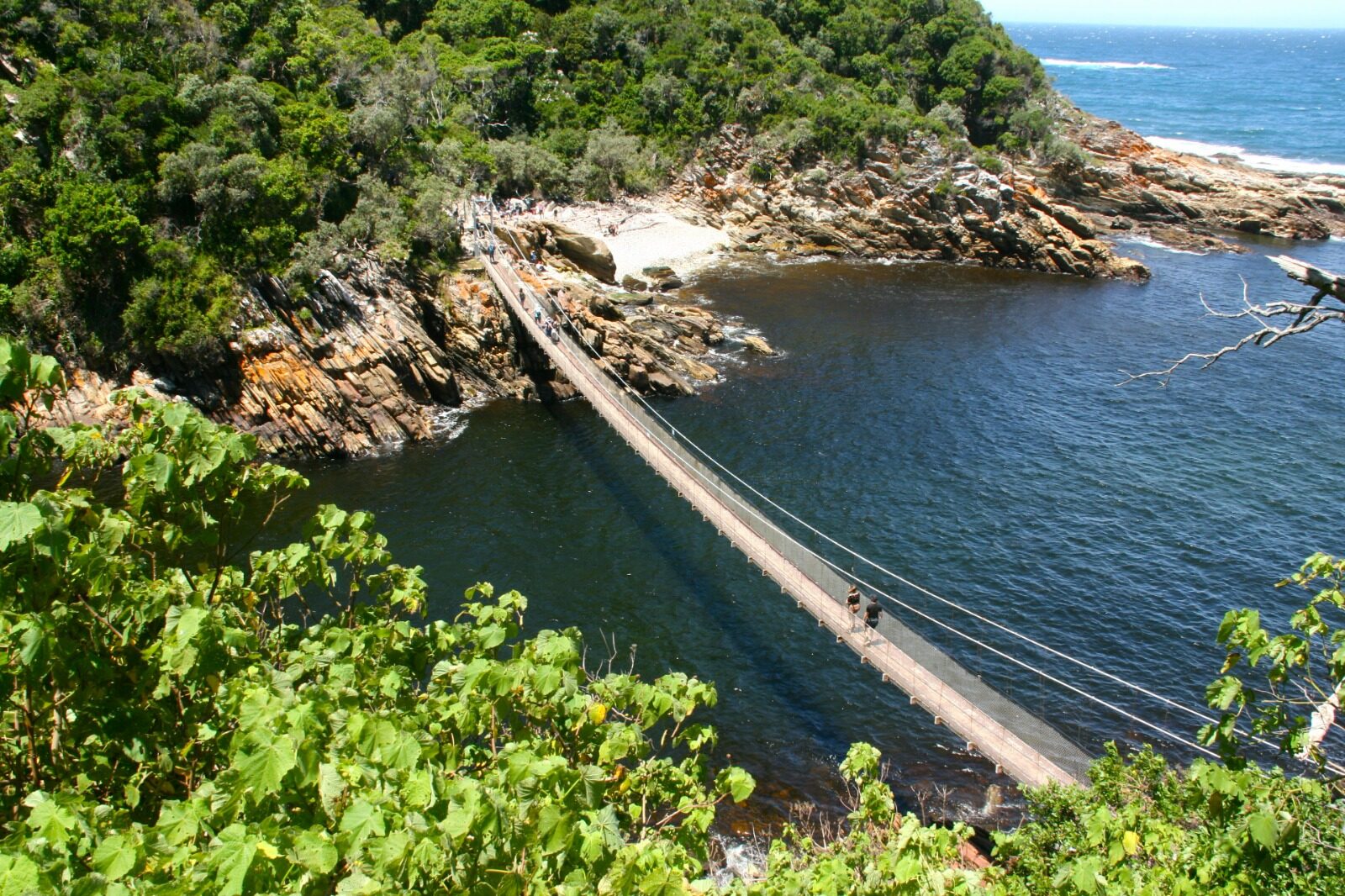 Tsitsikamma National Park Day Hike