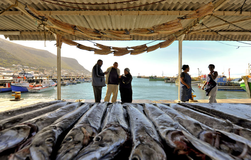 Kalk Bay Harbour & Lunch Stop