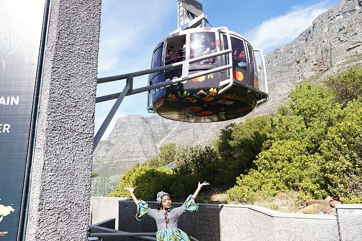 Table Mountain, Boulders Penguins & Cape Point Private Tour