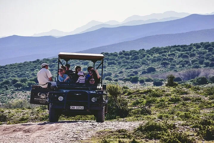 2-Day Garden Route & Big 5 Safari Small Group Tour