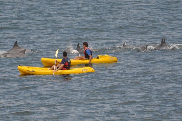 Sea Kayak & Cape Point Private Tour