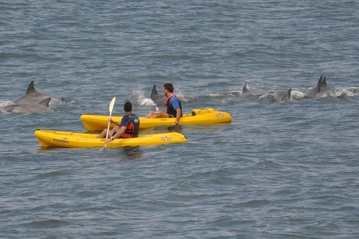 Sea Kayak & Cape Point Private Tour