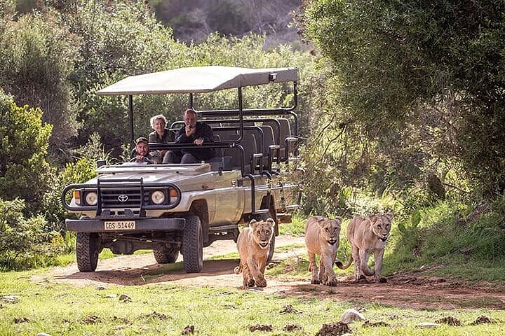 3-Day Garden Route Private Tour from Cape Town