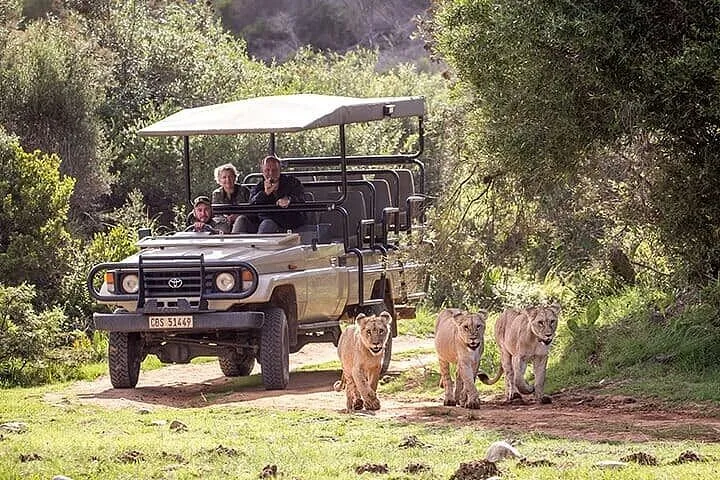 3-Day Garden Route Private Tour from Cape Town