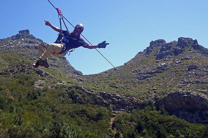 Zipline, Penguins & Cape of Good Hope Private Tour