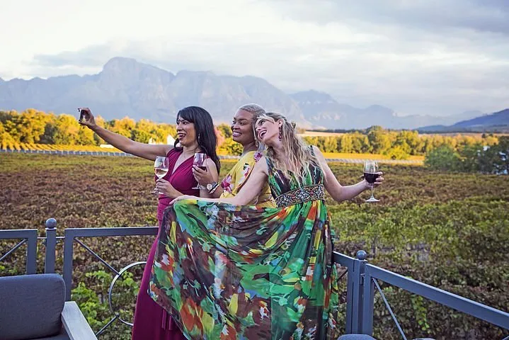 Constantia Winelands Private Wine Tour