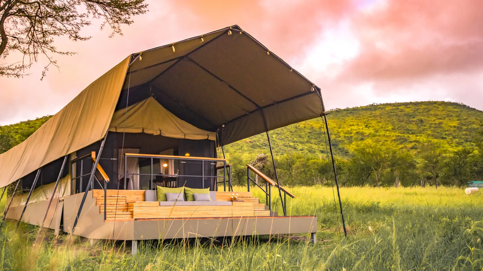 South Luangwa Walking Safari Guide: The Birthplace of Walking Safaris