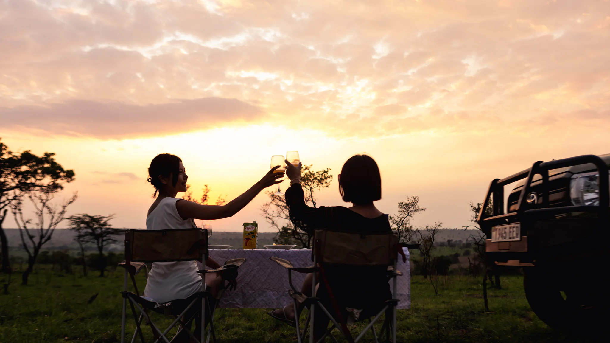 Safari & Wine: How South Africa Combines World-Class Game Viewing with Fine Wine