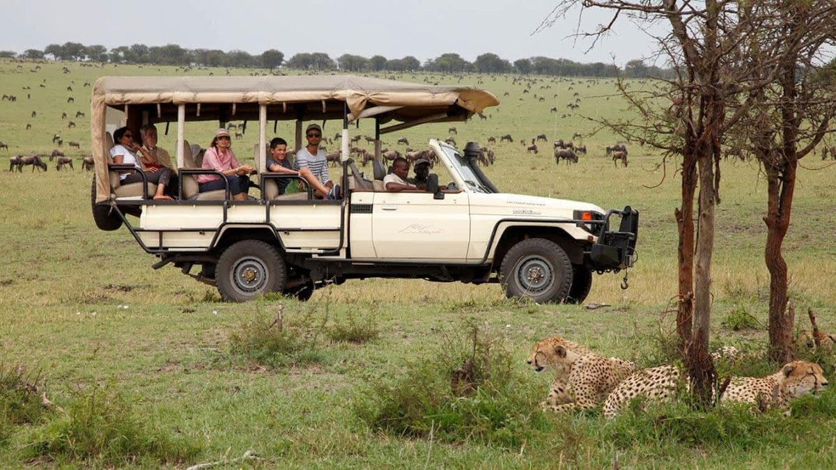 Safari Vehicle Guide: Open Cruiser vs Pop-Top vs Walking β Which Is Best?